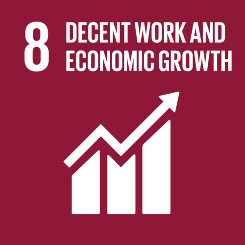 SDG 8 - Decent Work & Economic Growth
